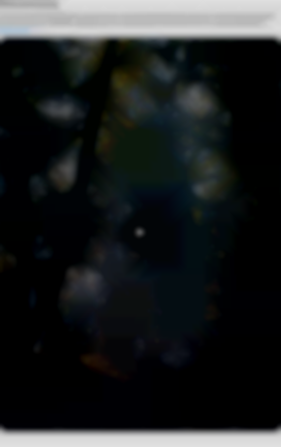 Blurred Canvas Image