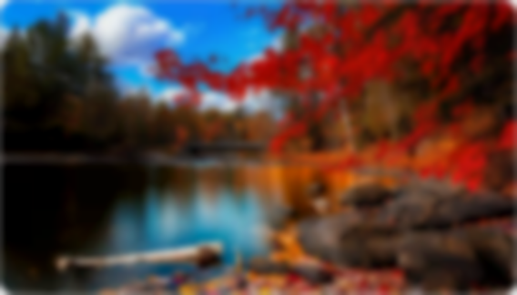 Blurred Canvas Image